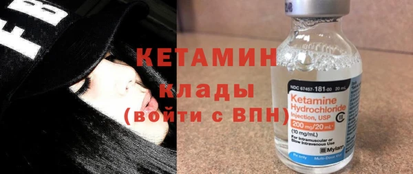 трава Бородино