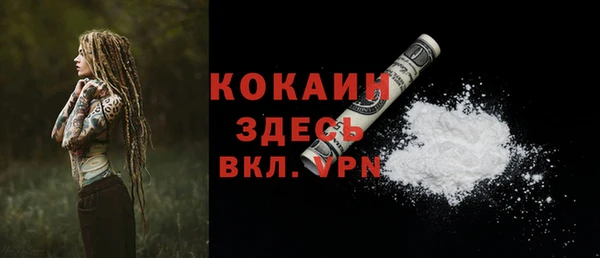 трава Бородино