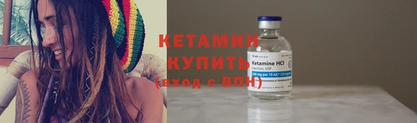 трава Бородино