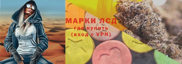 трава Бородино